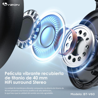 BT-V60