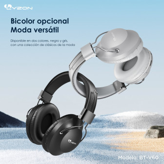 BT-V60
